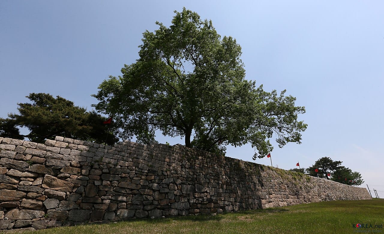 Stone fortress wall and old tree at Hongju-eupseong